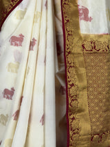 MIMOSA White Kanjivaram Saree — fleets shot full lifestyle