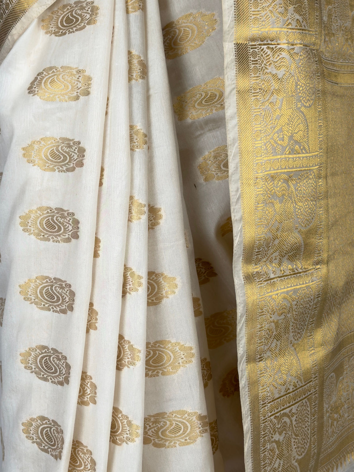 MIMOSA Saree Saree — fleets shot full lifestyle