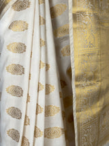 MIMOSA Saree Saree — fleets shot full lifestyle