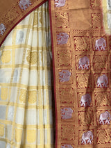 MIMOSA Saree Saree — fleets shot full lifestyle