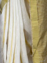 MIMOSA Saree Saree — fleets shot full lifestyle