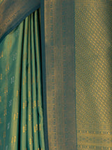 MIMOSA Green Saree Saree — fleets shot full lifestyle
