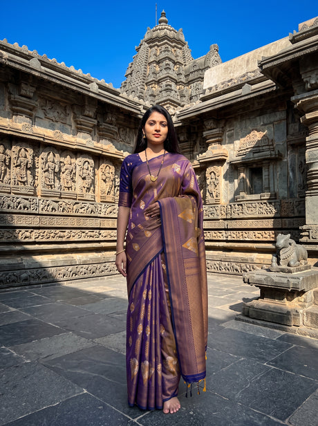 MIMOSA Grey Saree Saree — front view on mannequin