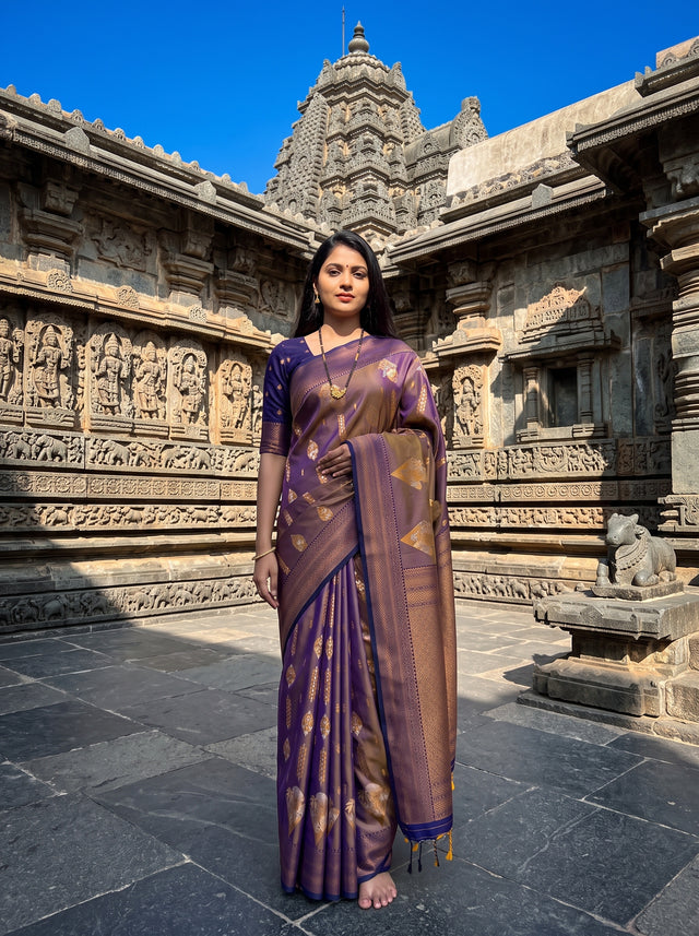 MIMOSA Grey Saree Saree — front view on mannequin