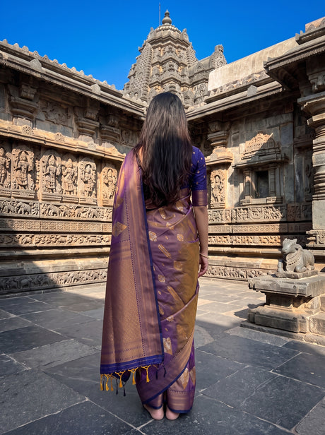 MIMOSA Grey Saree Saree — pose 2 styling detail