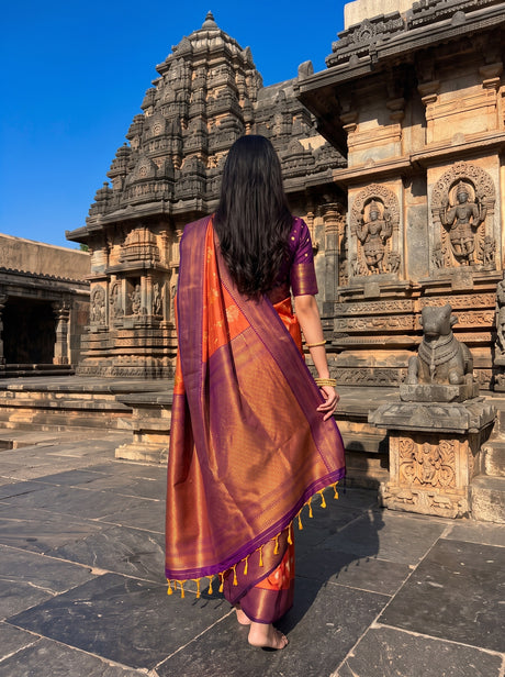 MIMOSA Peach Saree Saree — pose 2 styling detail