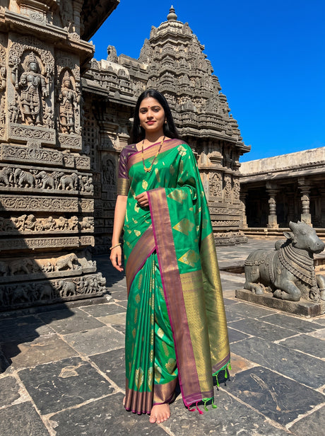 MIMOSA Rama Saree Saree — front view on mannequin