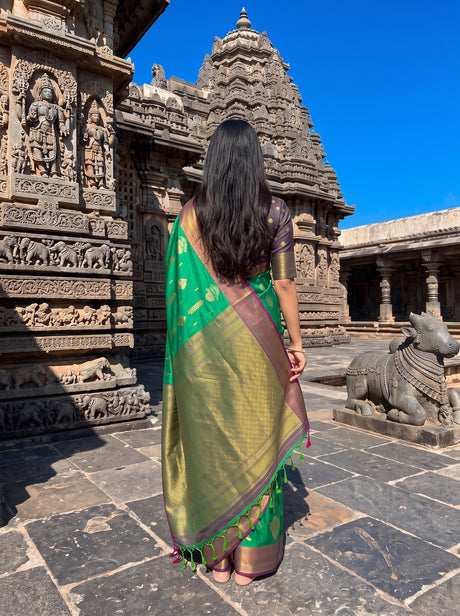 MIMOSA Rama Saree Saree — pose 2 styling detail