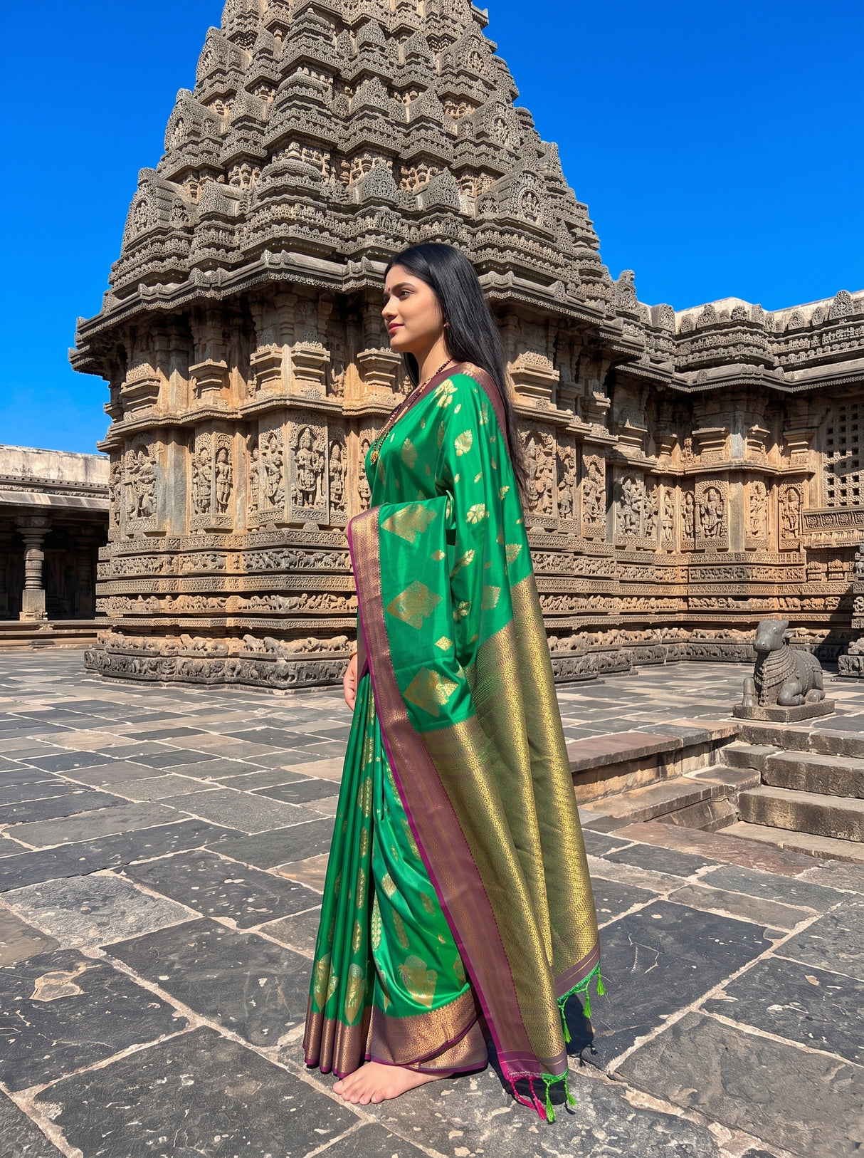 MIMOSA Rama Saree Saree — pose 3 styling detail