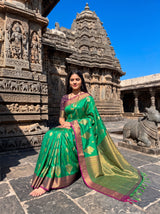 MIMOSA Rama Saree Saree — pose 8 styling detail