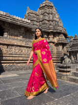 MIMOSA Rani Saree Saree — pose 7 styling detail