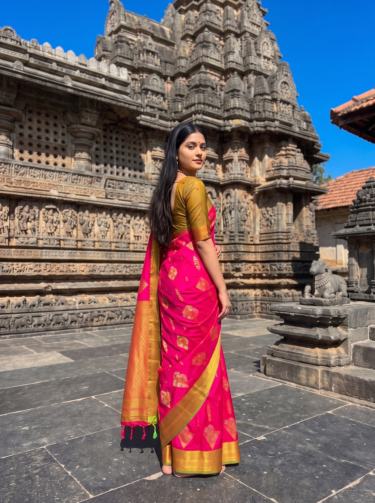 MIMOSA Rani Saree Saree — pose 9 styling detail