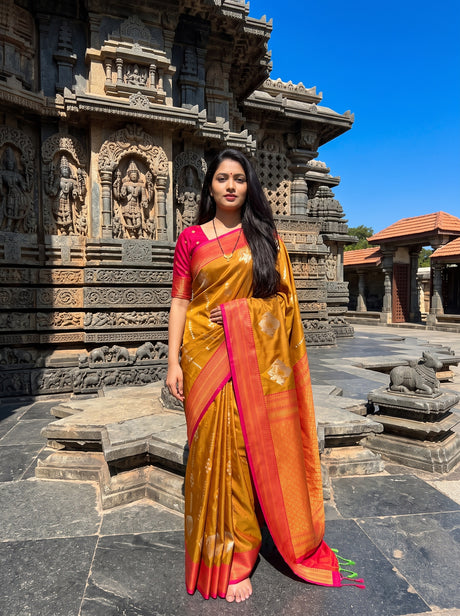 MIMOSA Rust Saree Saree — front view on mannequin