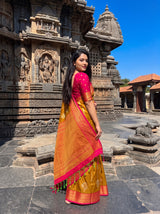 MIMOSA Rust Saree Saree — pose 9 styling detail