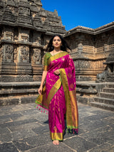 MIMOSA Wine Saree Saree — front view on mannequin