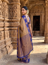 MIMOSA Grey Saree Saree — pose 7 styling detail