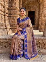 MIMOSA Grey Saree Saree — pose 8 styling detail