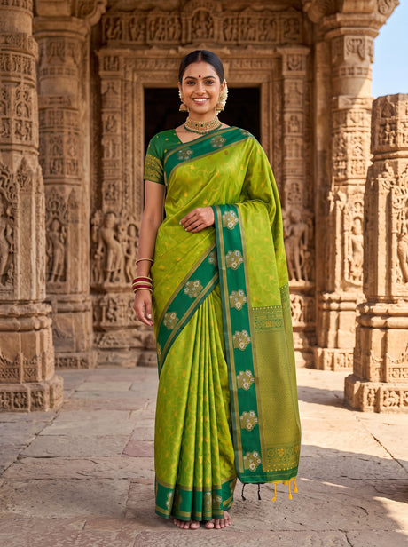 MIMOSA Olive Saree Saree — front view on mannequin
