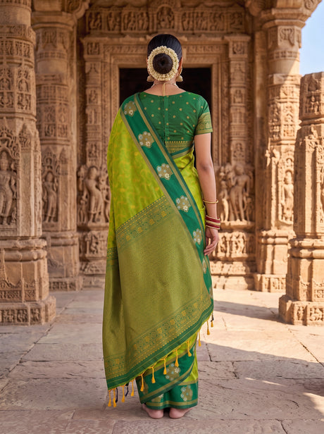 MIMOSA Olive Saree Saree — pose 2 styling detail