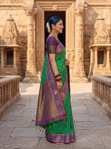 MIMOSA Rama Saree Saree — pose 3 styling detail