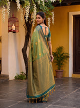 MIMOSA Green Saree Saree — pose 9 styling detail