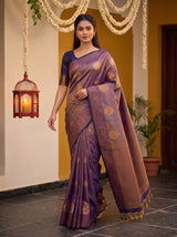 MIMOSA Grey Saree Saree — pose 7 styling detail
