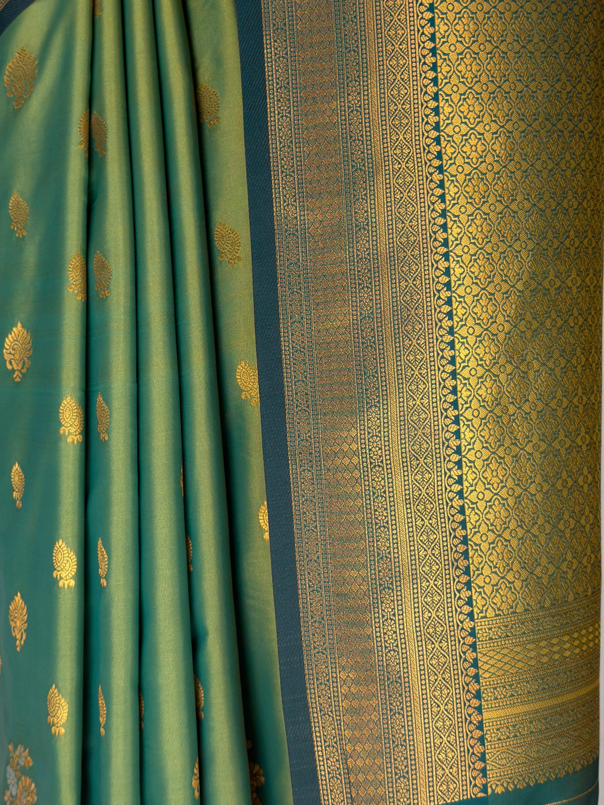 MIMOSA Green Saree Saree — fleets shot full lifestyle