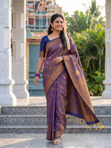 MIMOSA Grey Saree Saree — pose 6 styling detail