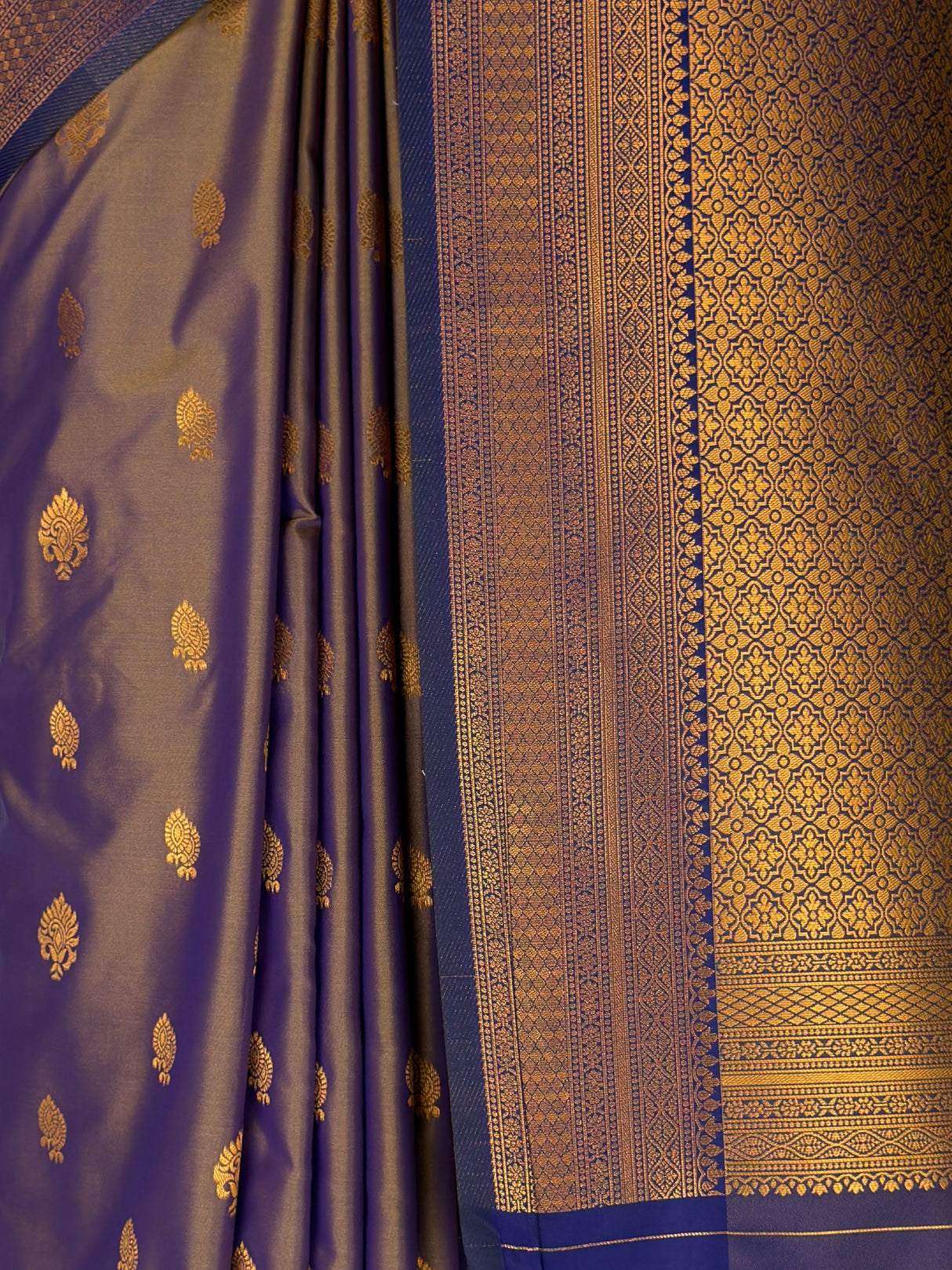 MIMOSA Grey Saree Saree — fleets shot full lifestyle