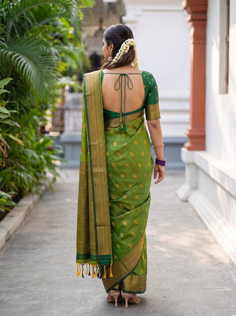 MIMOSA Olive Saree Saree — pose 2 styling detail