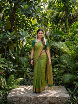 MIMOSA Olive Saree Saree — pose 9 styling detail