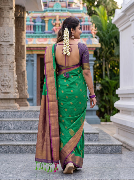 MIMOSA Rama Saree Saree — pose 2 styling detail