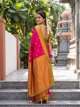 MIMOSA Rani Saree Saree — pose 7 styling detail