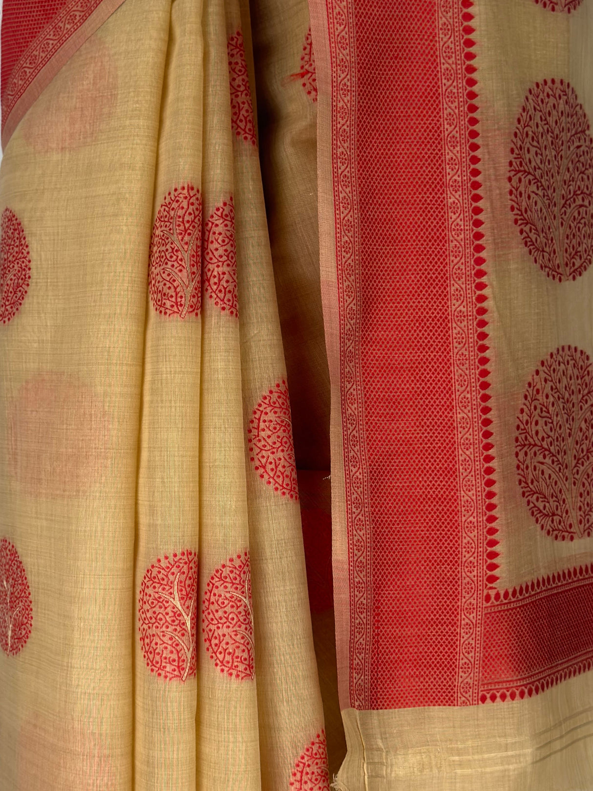 MIMOSA Saree Saree — fleets shot full lifestyle