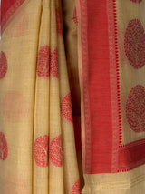 MIMOSA Saree Saree — fleets shot full lifestyle