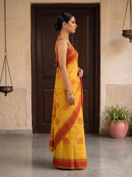 MIMOSA Saree Saree — pose 3 styling detail