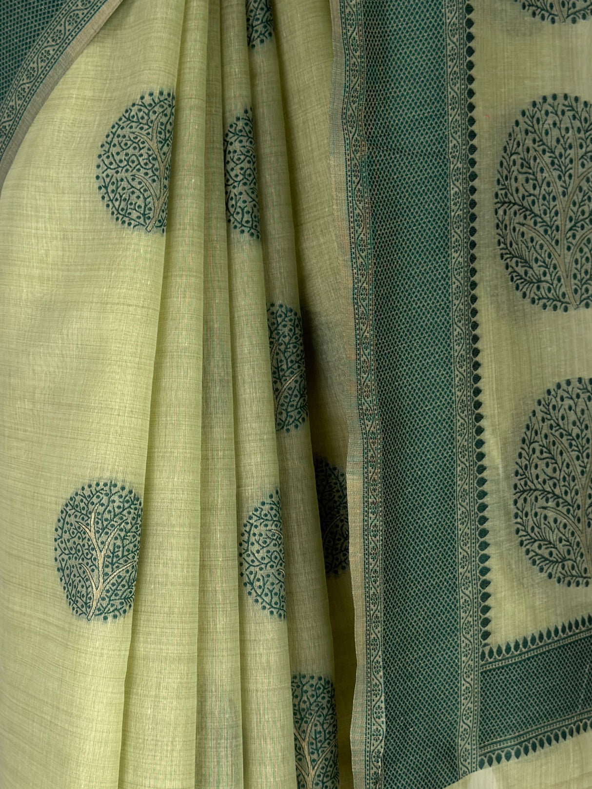 MIMOSA Saree Saree — fleets shot full lifestyle