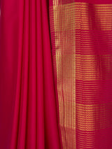 MIMOSA Rani Saree Saree — fleets shot full lifestyle
