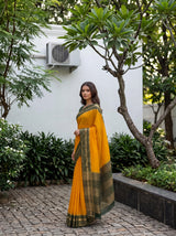 MIMOSA Gold Mysore Silk Crepe Saree — Border detail