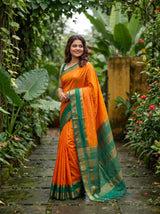 MIMOSA Gold Saree Saree — pose 4 styling detail