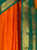 MIMOSA Gold Saree Saree — fleets shot full lifestyle