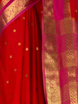 MIMOSA Red Saree Saree — fleets shot full lifestyle