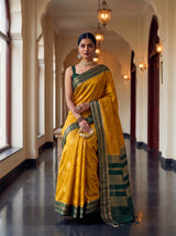 MIMOSA Gold Saree Saree — pose 8 styling detail