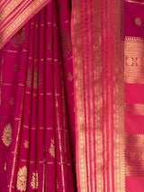 MIMOSA Rani Saree Saree — fleets shot full lifestyle