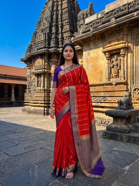 MIMOSA Orange Saree Saree — front view on mannequin