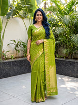 MIMOSA Olive Saree Saree — front view on mannequin