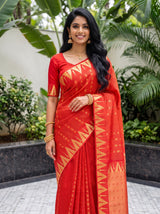 MIMOSA Red Saree Saree — pose 10 styling detail