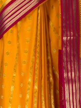 MIMOSA Gold Saree Saree — fleets shot full lifestyle