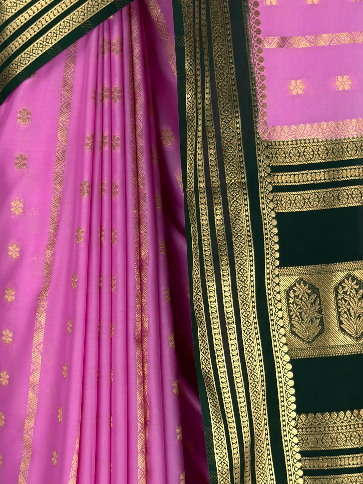 MIMOSA Pink Saree Saree — fleets shot full lifestyle
