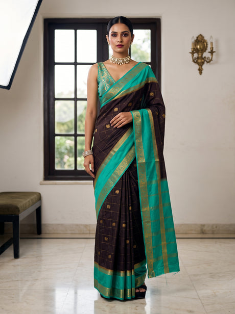 MIMOSA Chocolate Saree Saree — front view on mannequin